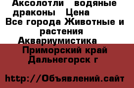 Аксолотли / водяные драконы › Цена ­ 500 - Все города Животные и растения » Аквариумистика   . Приморский край,Дальнегорск г.